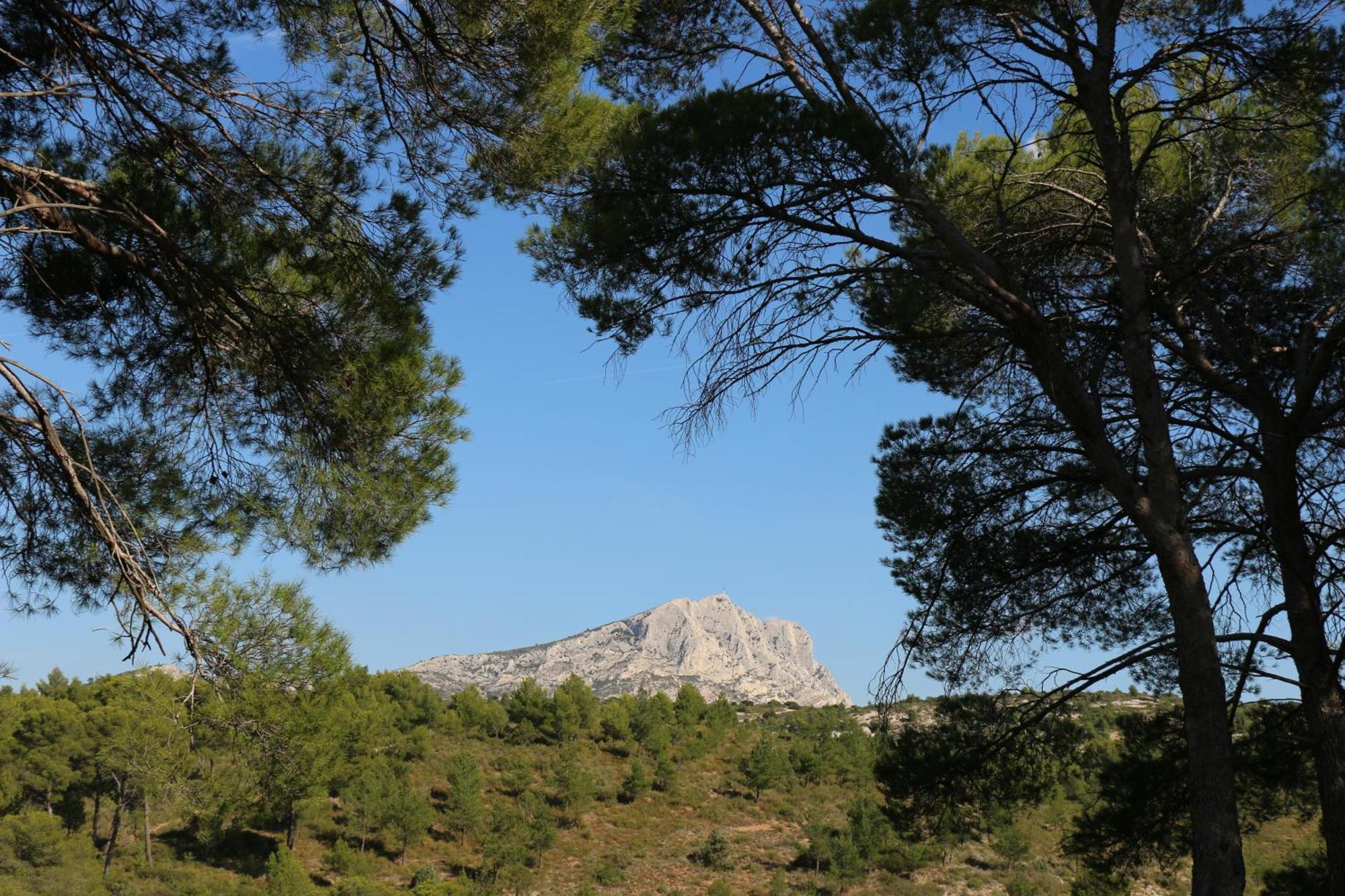 Studio Charmant Au Calme Aix-en-Provence Eksteriør bilde